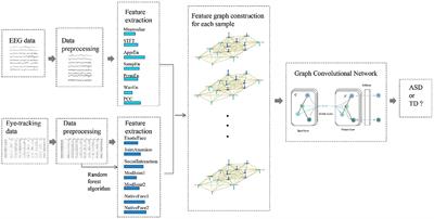 Children ASD Evaluation Through Joint Analysis of EEG and Eye-Tracking Recordings With Graph Convolution Network